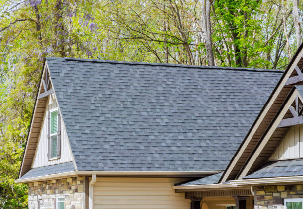 Best Steel Roofing  in Pilot Mountain, NC
